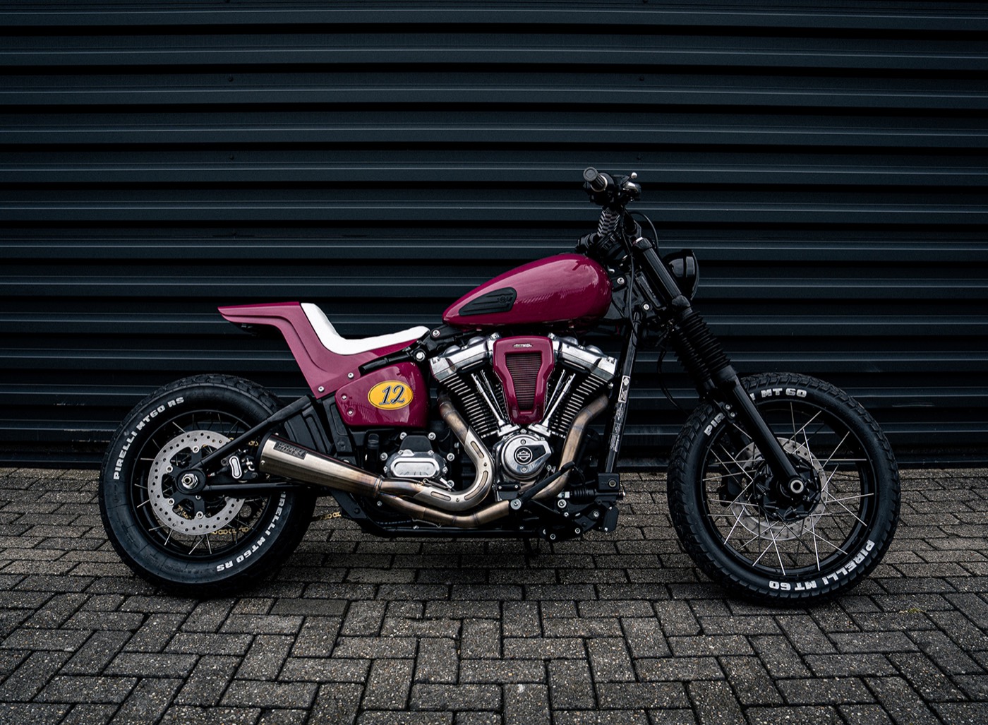 Shivro Street Bob Night